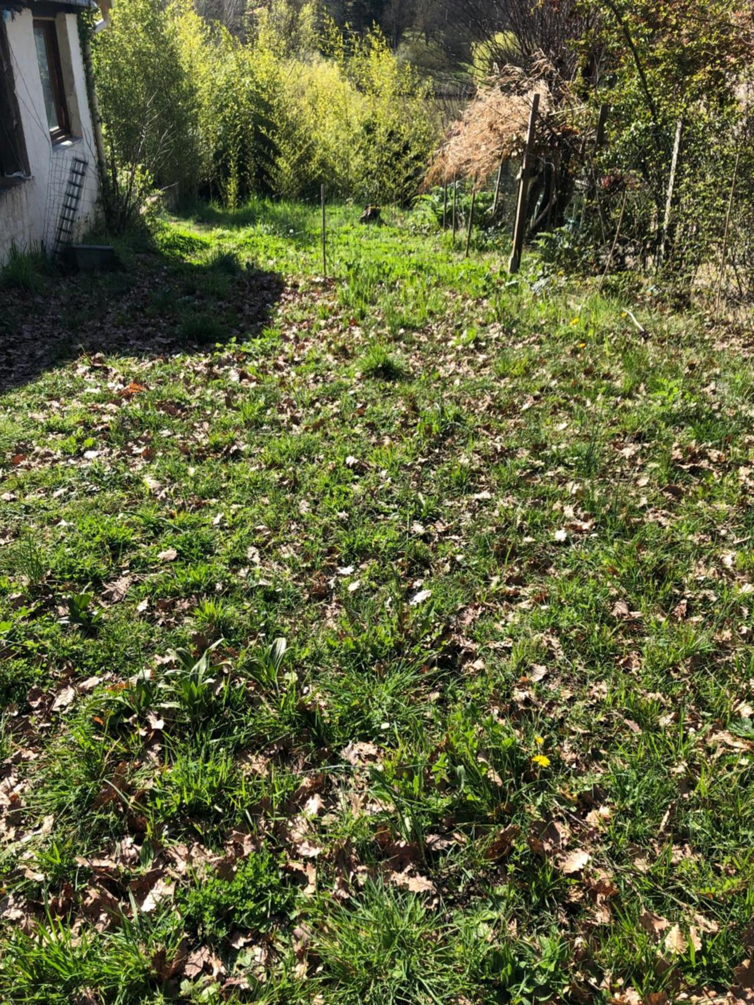 Logement Entier Aussonne Esterno foto